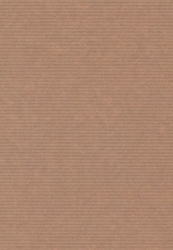 Samolepicí kraft hnědé etikety s proužky Rayfilm R0166.1123A, 210x297 mm, 100 listů A4, 100 etiket
